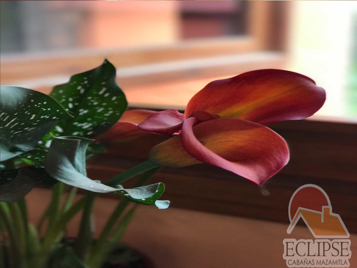 Cabanas Eclipse Hotel Mazamitla Eksteriør billede